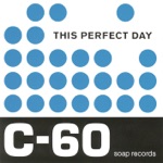 This Perfect Day - Could Have Been Friends