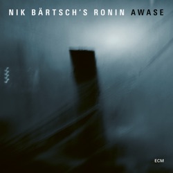 Nik Bärtsch's Ronin - Modul 60
