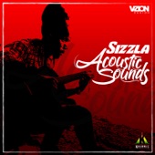 Acoustic Sounds artwork