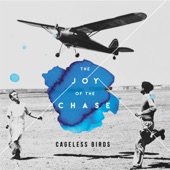 The Joy of the Chase artwork