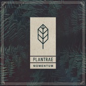 Plantrae - Momentum