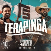 Terapinga (Ao Vivo) artwork