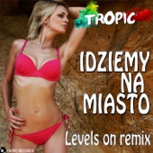 Idziemy Na Miasto (Levels On Remix) artwork