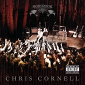 Chris Cornell - Wide Awake