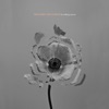 The Naked and Famous - To Move With Purpose