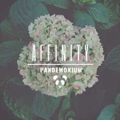 Affinity by PandemoniUM album reviews, ratings, credits