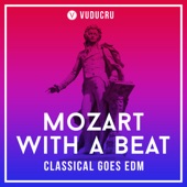 Mozart's Alla Turca (Vuducru Remix) artwork