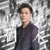 Hins Cheung - 百年樹木
