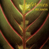 For a Reason artwork