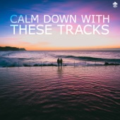 Calm Down With These Tracks (1) artwork