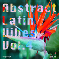 Various Artists - Abstract Latin Vibes, Vol. 4 artwork