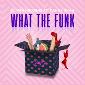 What the Funk (feat. Danny Shah) artwork