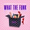 What the Funk (feat. Danny Shah) artwork