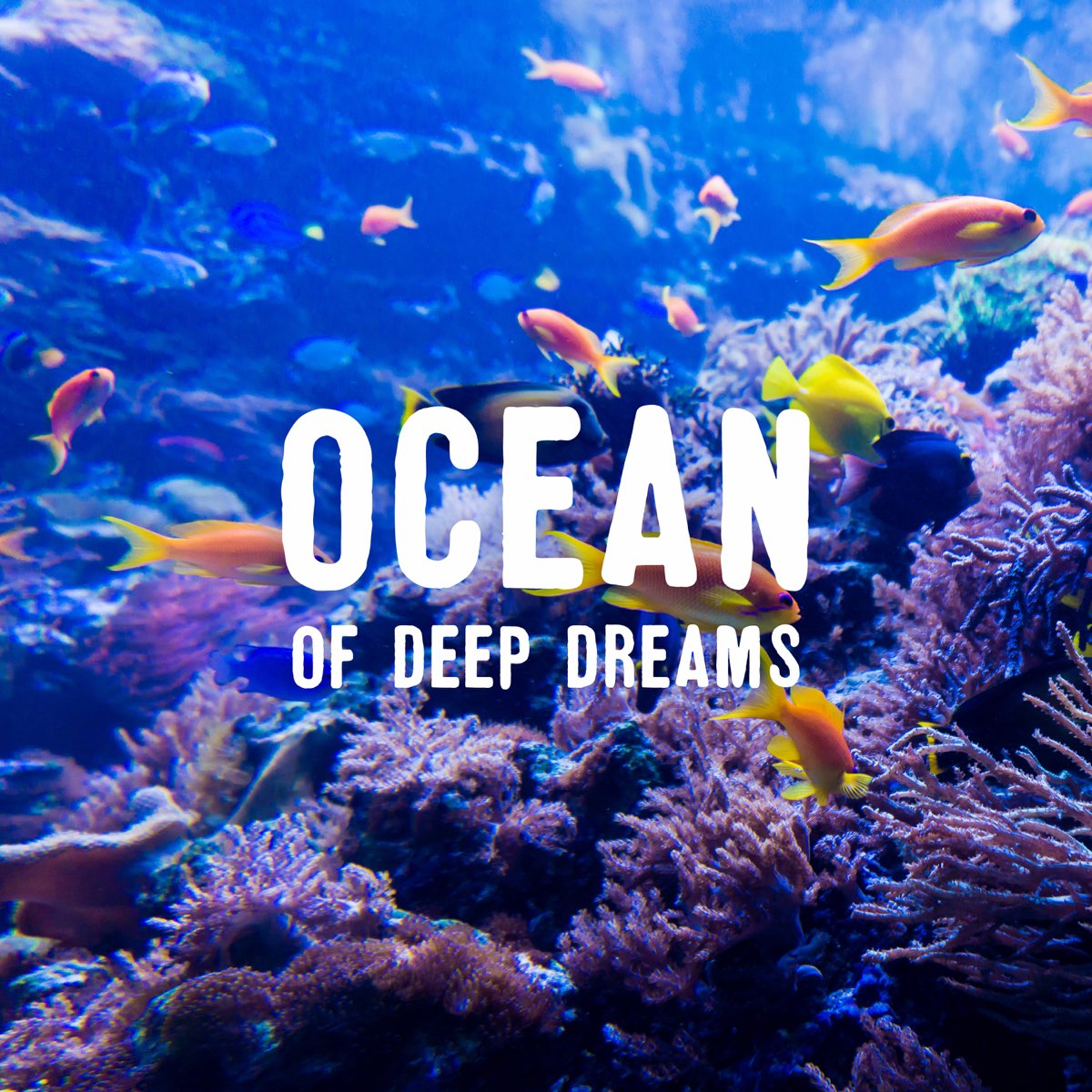 Sleep well cg5 обложка. Monday dreamer бессонница обложка альбома. Фото dream аватарка. Dream well. Dream well.