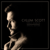 You Are the Reason - Calum Scott