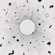 Rootedness - Dmitry Evgrafov