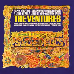 Super Psychedelics - The Ventures