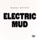 Electric Mud artwork