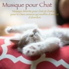 Musique pour Chat – Musique détente pour chat et chatons, pour le chien anxieux qui souffre d'anxiété d'abandon