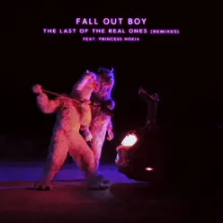 The Last of the Real Ones (Win & Woo Remix) [feat. Princess Nokia] - Single - Fall Out Boy