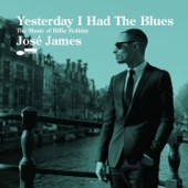 José James - What a Little Moonlight Can Do