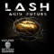 Acid Future (Bush Pig Remix) - Lash lyrics