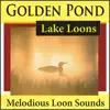 Golden Pond Lake Loons (Melodious Loon Sounds) album lyrics, reviews, download