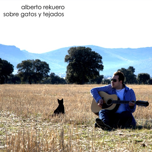 Album artwork