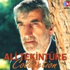 Ali Tekintüre Collection