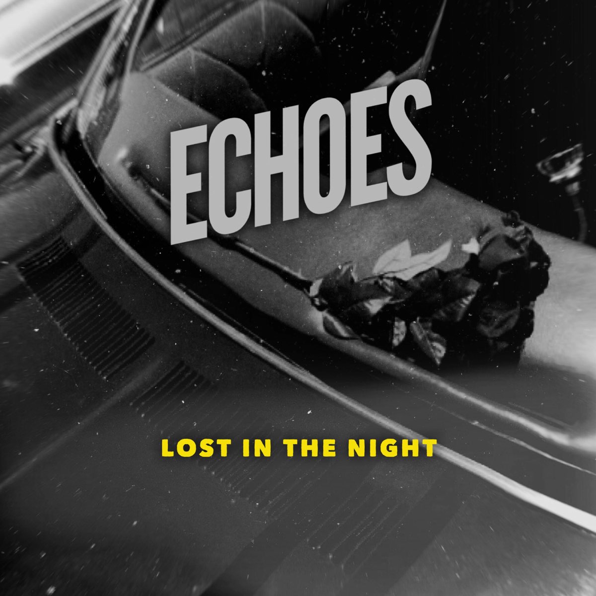 Lost in the echo перевод