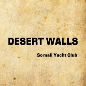 Desert Walls artwork