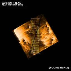 Hot Water (YOOKiE Remix) [feat. Victoria Zaro] - Single - Audien