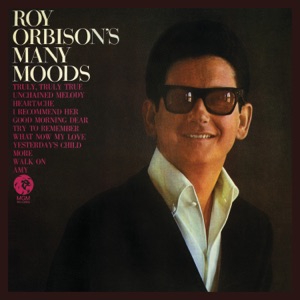 Roy Orbison - What Now My Love - Line Dance Musique