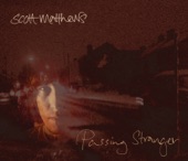 Scott Matthews - Passing Stranger