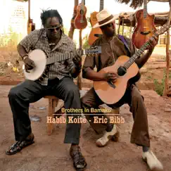 Brothers In Bamako (feat. Habib Koité) by Eric Bibb & Habib Koité album reviews, ratings, credits