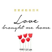 Love Brought Me Home artwork