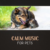 Calm Music for Pets – Relax Therapy, Canine Relaxation, Gentle Sounds for Animals, Ambient Sounds, Calm Cat, Pet Anxiety Help artwork