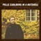 Pamplona - Pelle Carlberg lyrics