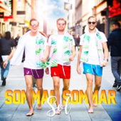 Sommar sommar sol artwork