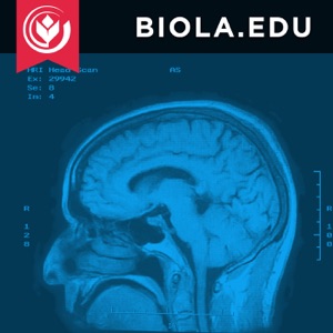 Fetal Brain Development / Christopher R Grace