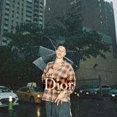 Rin - Dior 2001