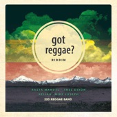 Got Reggae? (feat. Ras Manuel) artwork