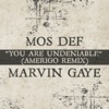You Are Undeniable (Amerigo Remix) - Single ジャケット写真