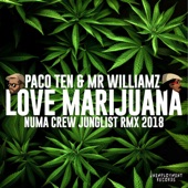 I Love Marijuana (Remix) [feat. Numa Crew] artwork