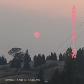 Divide And Dissolve - Resistance