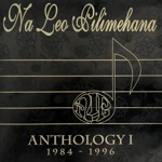 Na Leo Pilimehana - Local Boys