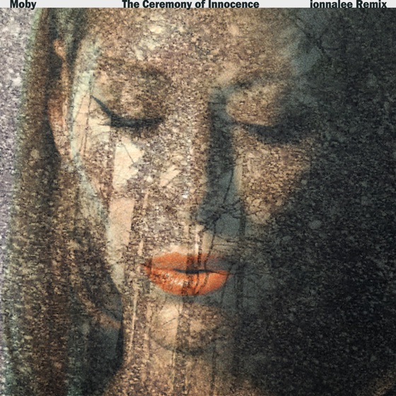Cover artwork for The Ceremony of Innocence (ionnalee Remix)