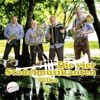 Die vier Stadelmusikanten (Polka) - Single