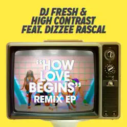 How Love Begins (Remixes) [feat. Dizzee Rascal] - EP - DJ Fresh