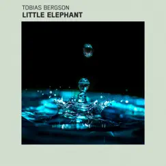 Little Elephant Song Lyrics